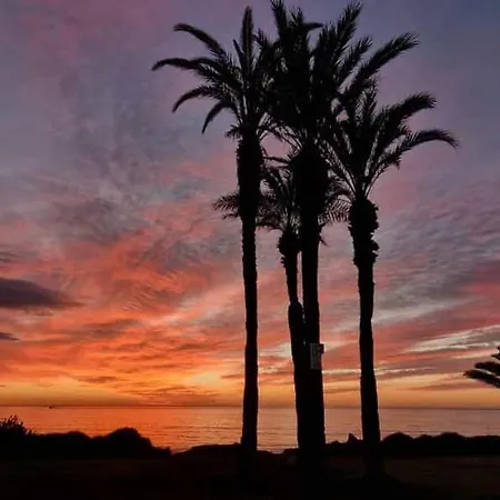 Palm House דירה *