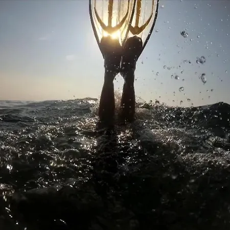 Palm House * טורבייחה