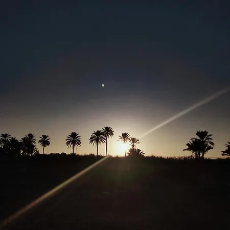 Palm House * טורבייחה