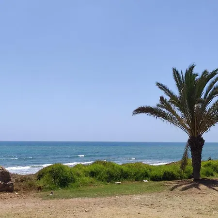 Palm House Apartamento Torrevieja