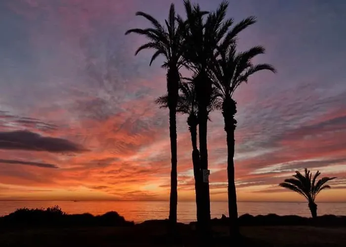 Palm House Apartment *