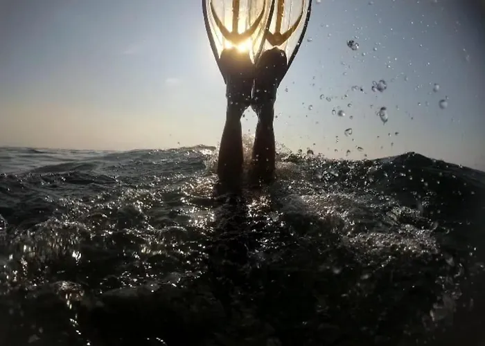 Palm House * Torrevieja