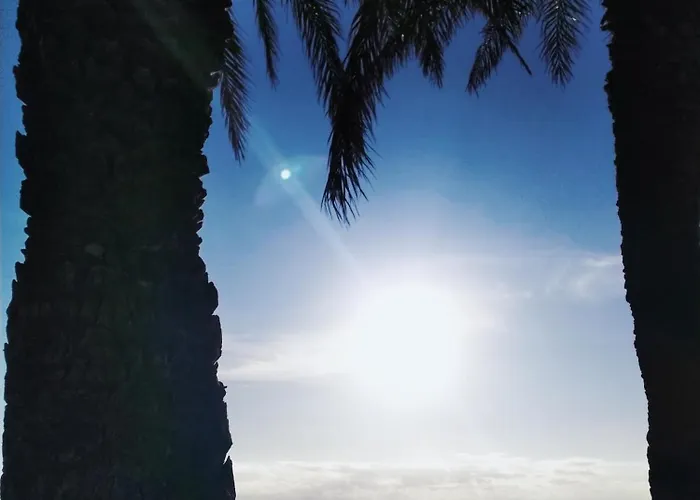 Apartment Palm House