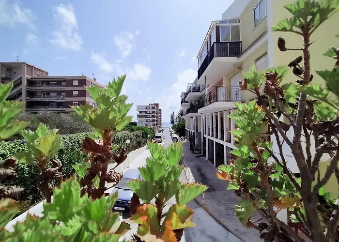 Apartment Palm House *