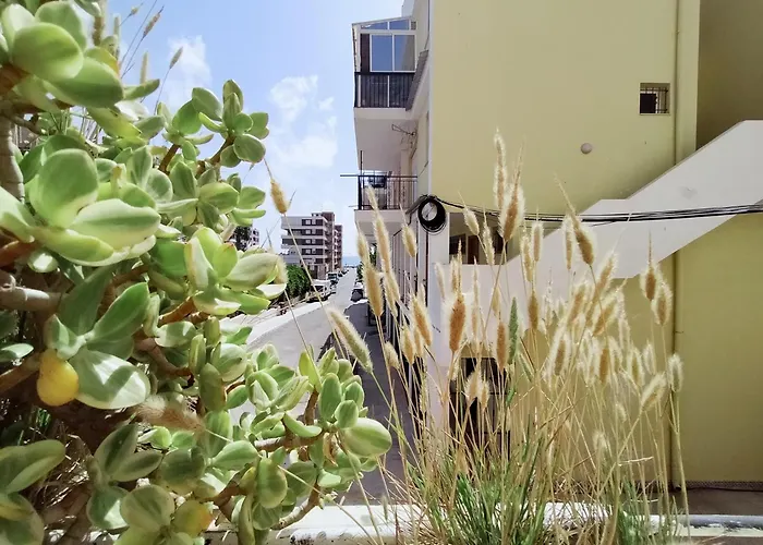 Palm House Apartment *