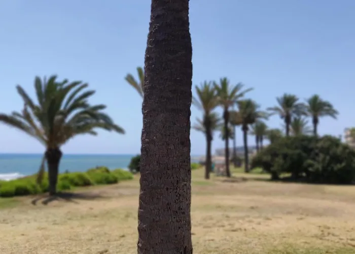 Apartment Palm House Torrevieja