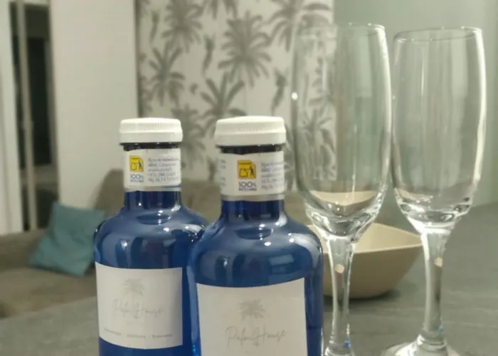 Palm House * Torrevieja