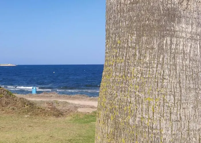 Apartment Palm House